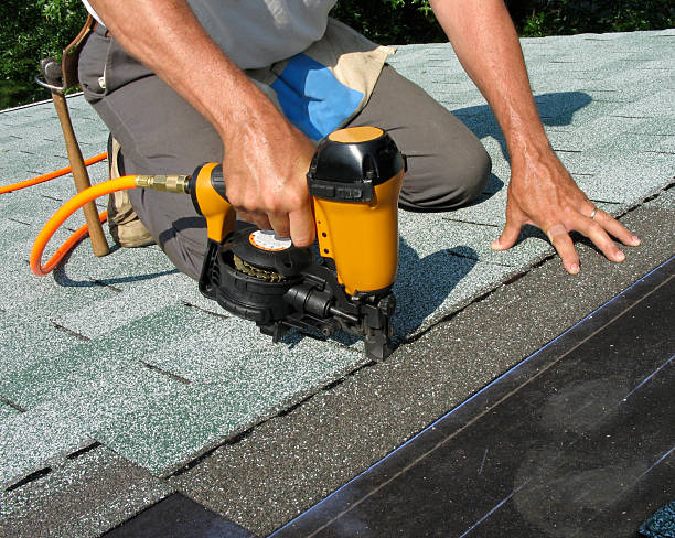 Best Roof Gutter Cleaning  in Lexington, MN